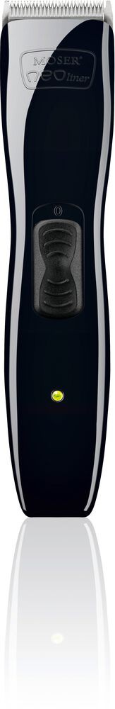 Moser-Neoliner-A11300433