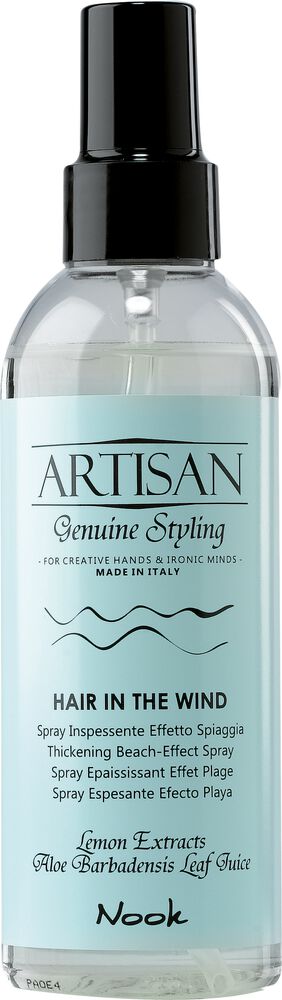 Nook-Artisan-Hair-In-The-Wind-A21500554 Nook Artisan Hair In The Wind