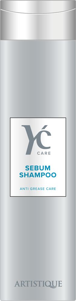 Artistique-Youcare-Sebum-Shampoo-A10202143 Artistique Youcare Sebum Shampoo