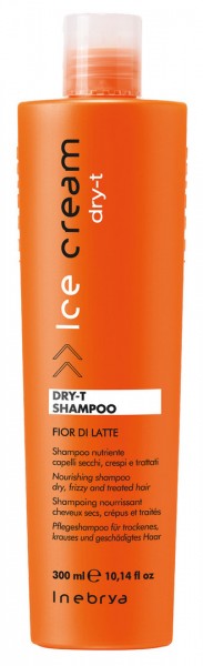 Inebrya Ice Cream Dry-T Shampoo