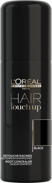 L'Oréal Hair Touch Up