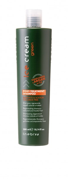 Inebrya Ice Cream Green Post Treatment Shampoo