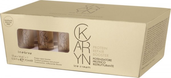 Inebrya Ice Cream Karyn Protein Repair Booster